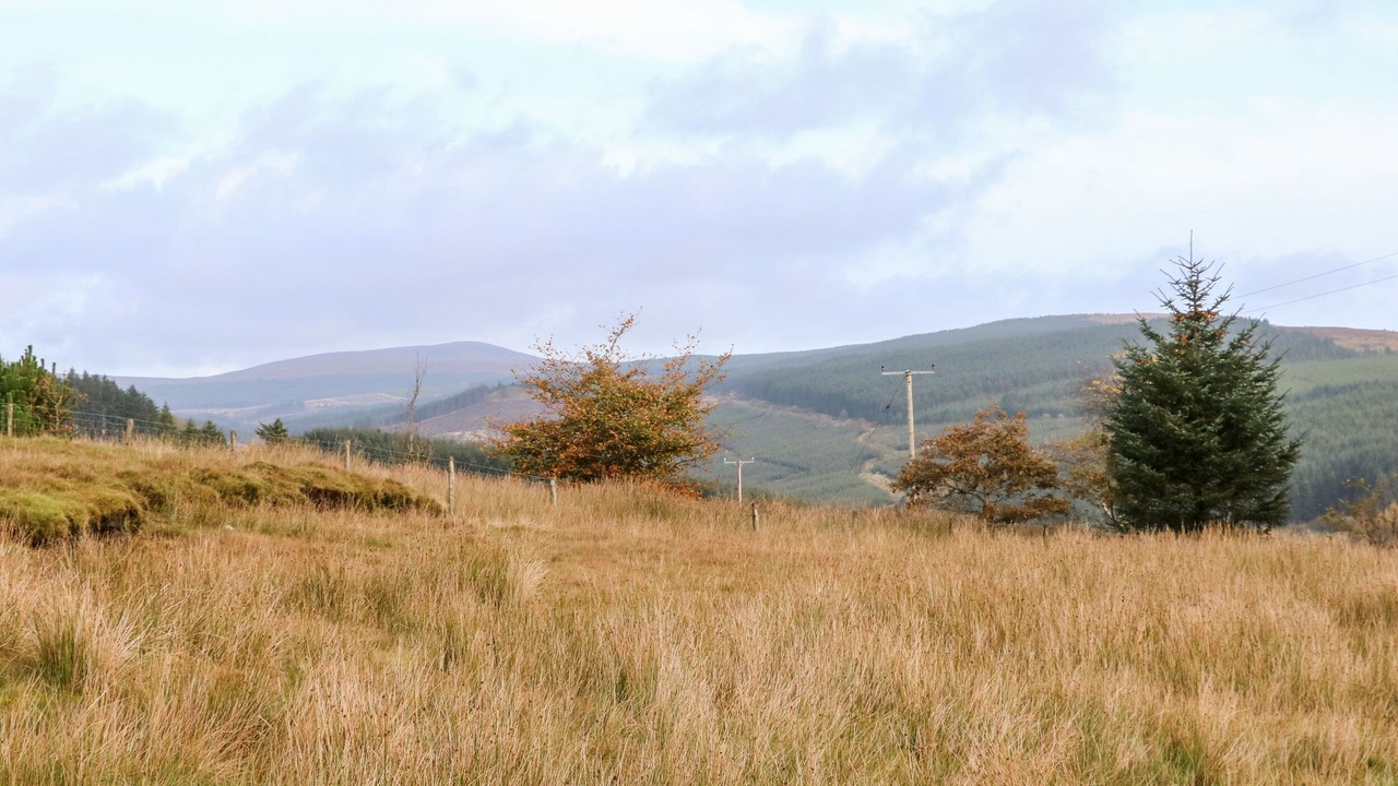 Photo of Others in Omagh