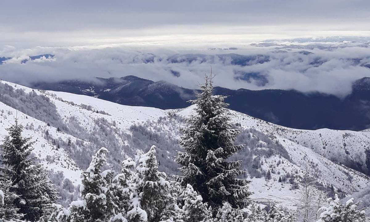 Photo of Outdoor in Lisina