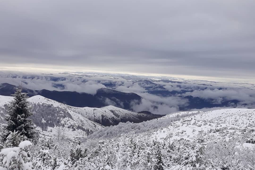 Photo of Outdoor in Lisina