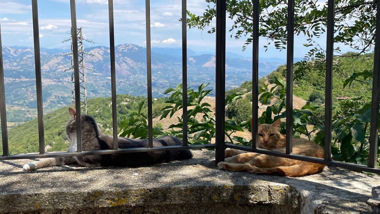 Photo of Outdoor in Rocca di Cave