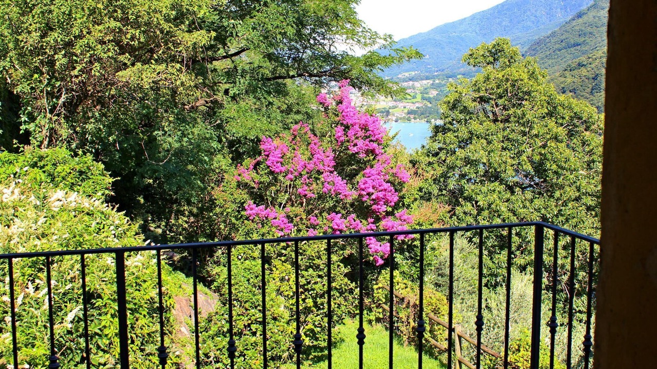 Photo of Outdoor in Olgiasca