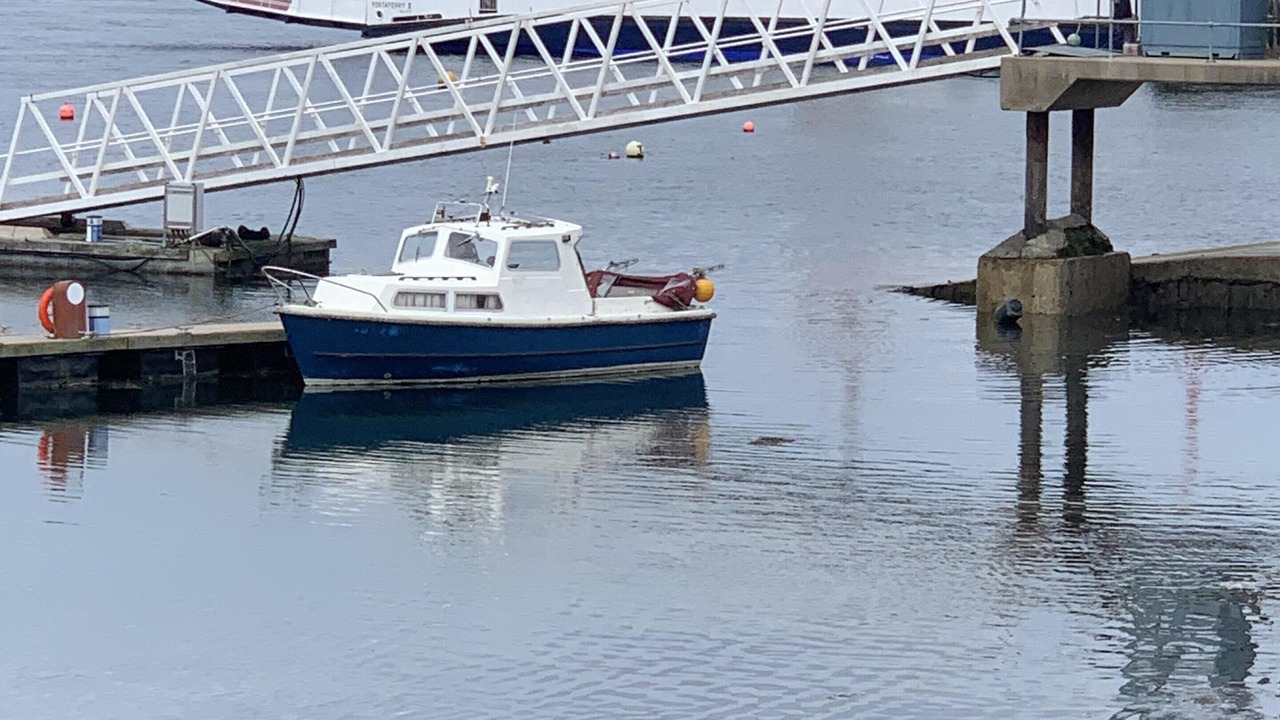 Photo of Others in Portaferry
