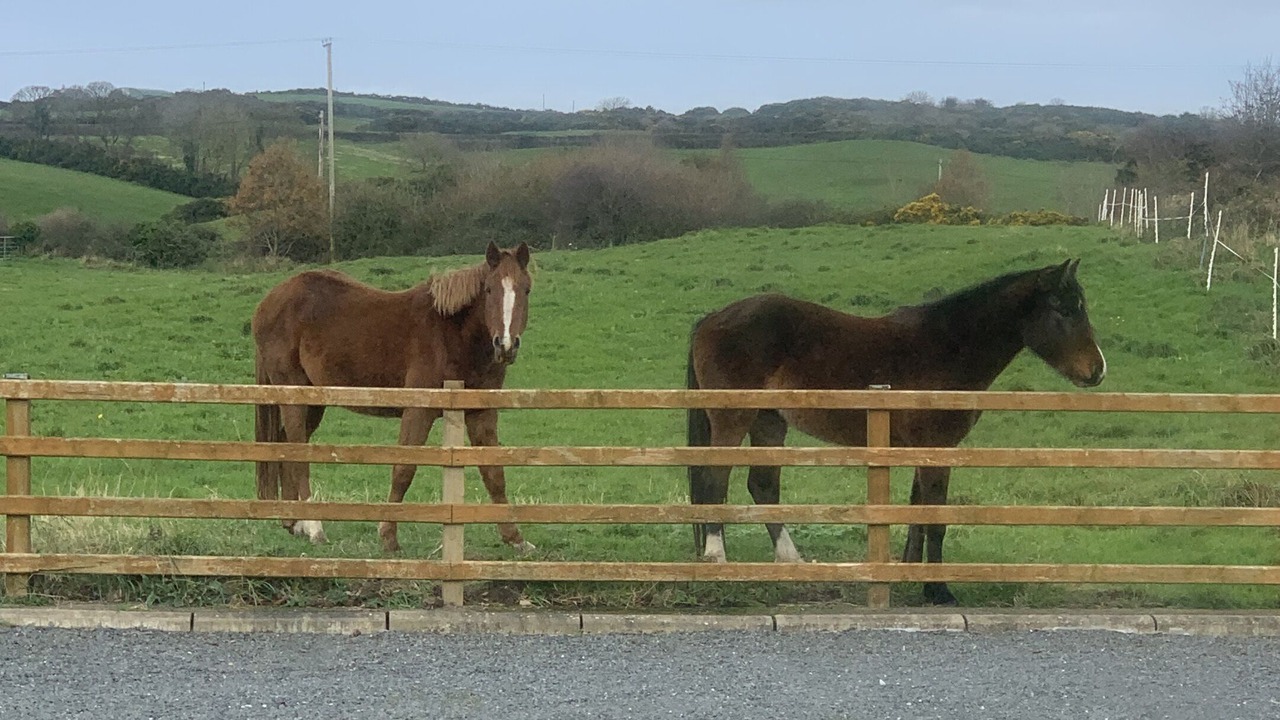 Photo of Outdoor in Portaferry
