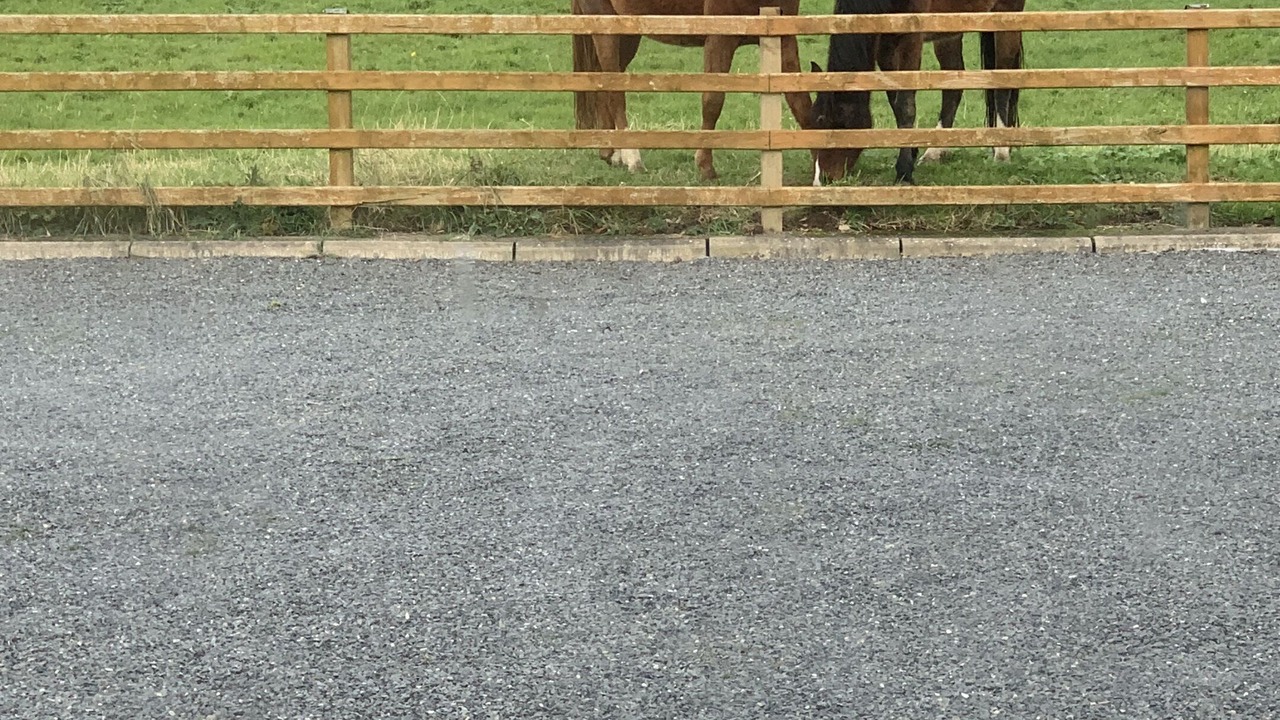 Photo of Outdoor in Portaferry