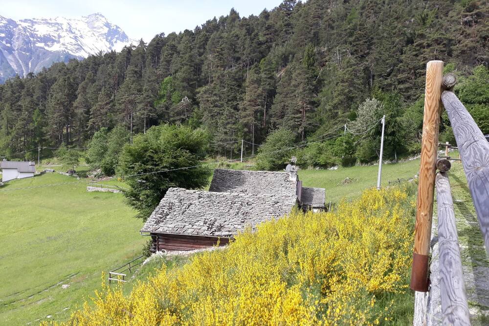 Photo of Others in Trasquera