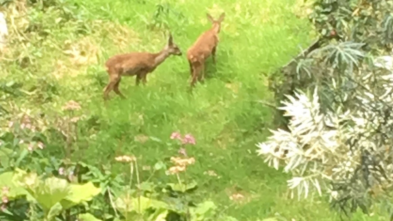 Photo of Outdoor in Lasswade