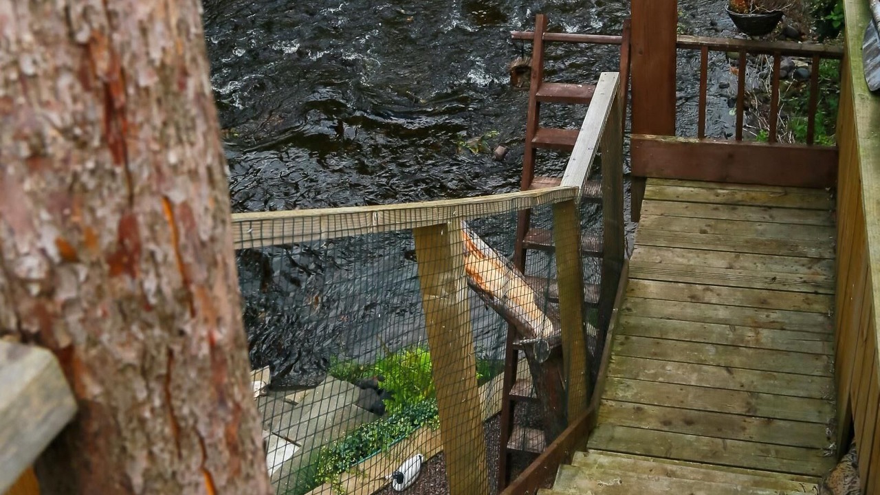 Photo of Outdoor in Lasswade