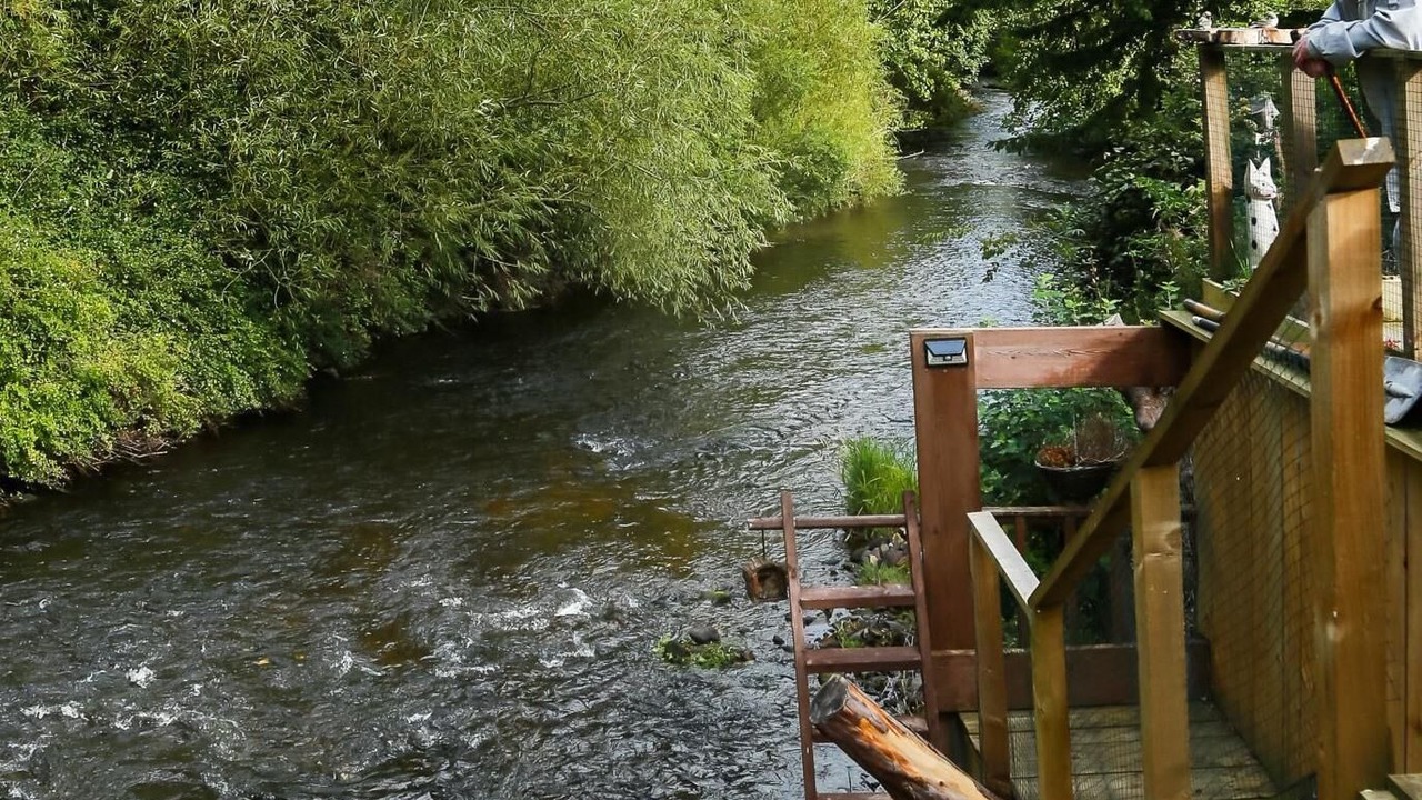 Photo of Outdoor in Lasswade