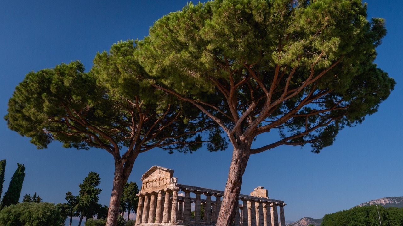 Photo of Outdoor in Capaccio-Paestum
