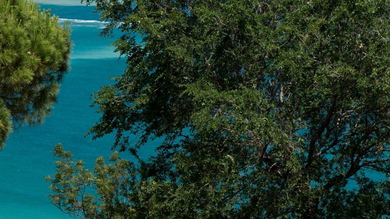 Photo of Outdoor in Ancona
