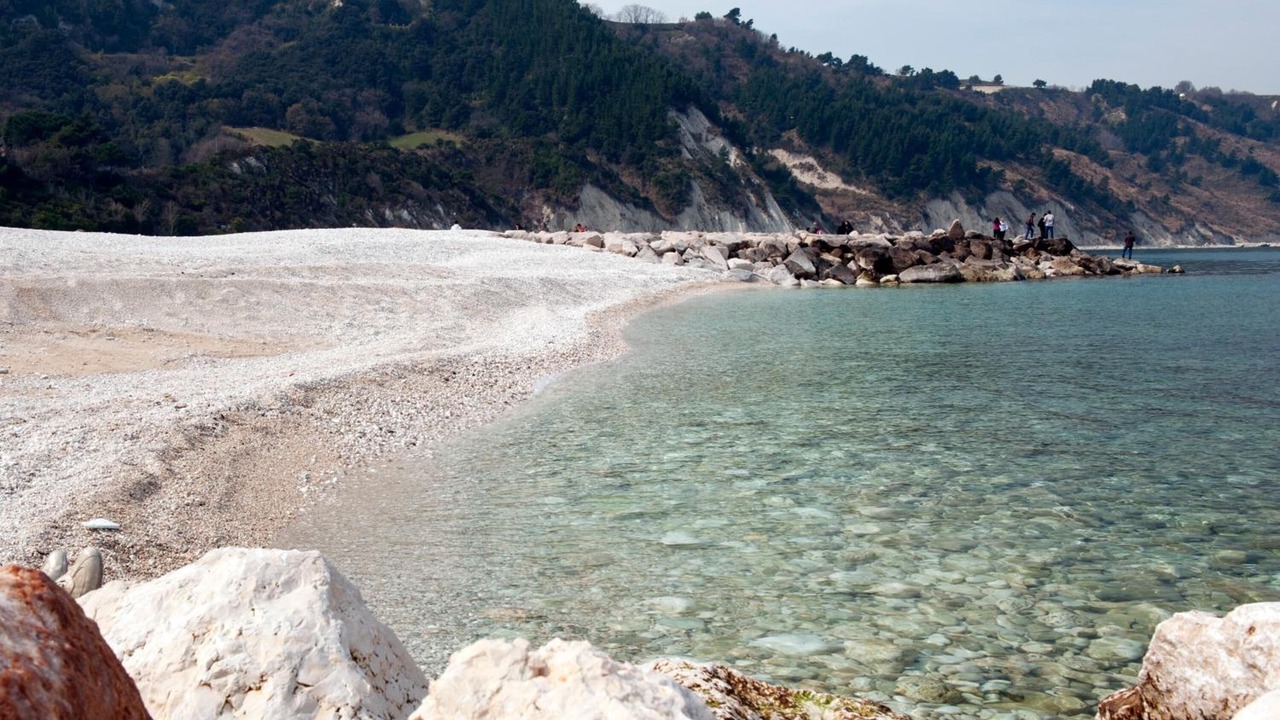 Photo of Others in Ancona