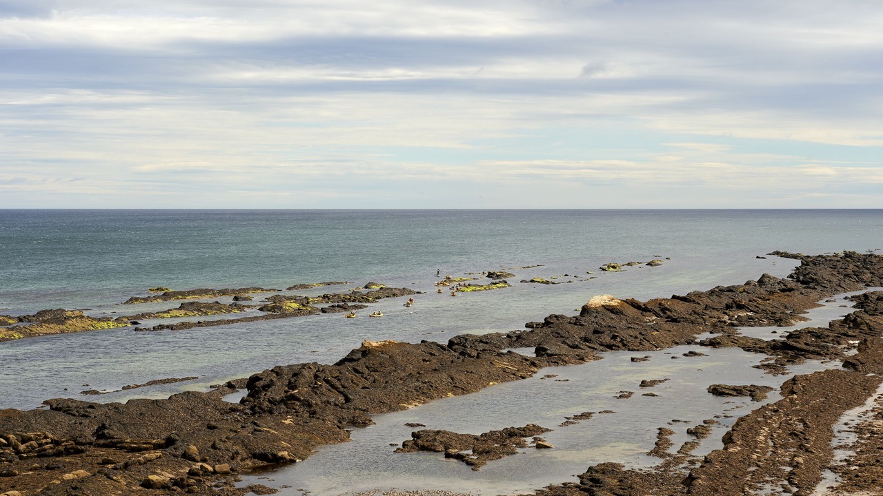 Photo of Others in St. Andrews