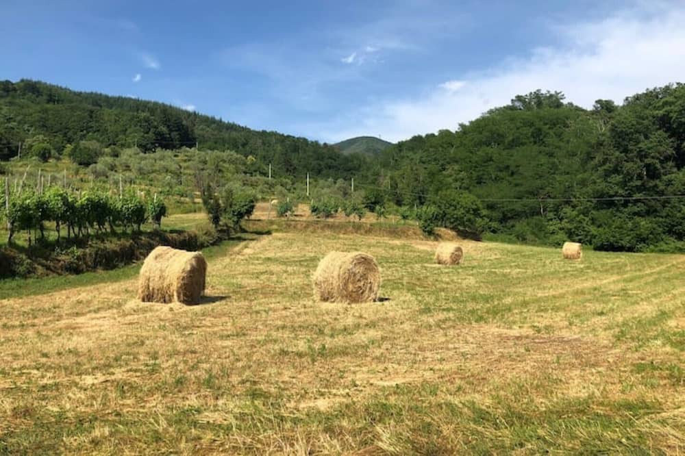 Photo of Outdoor in Pontremoli