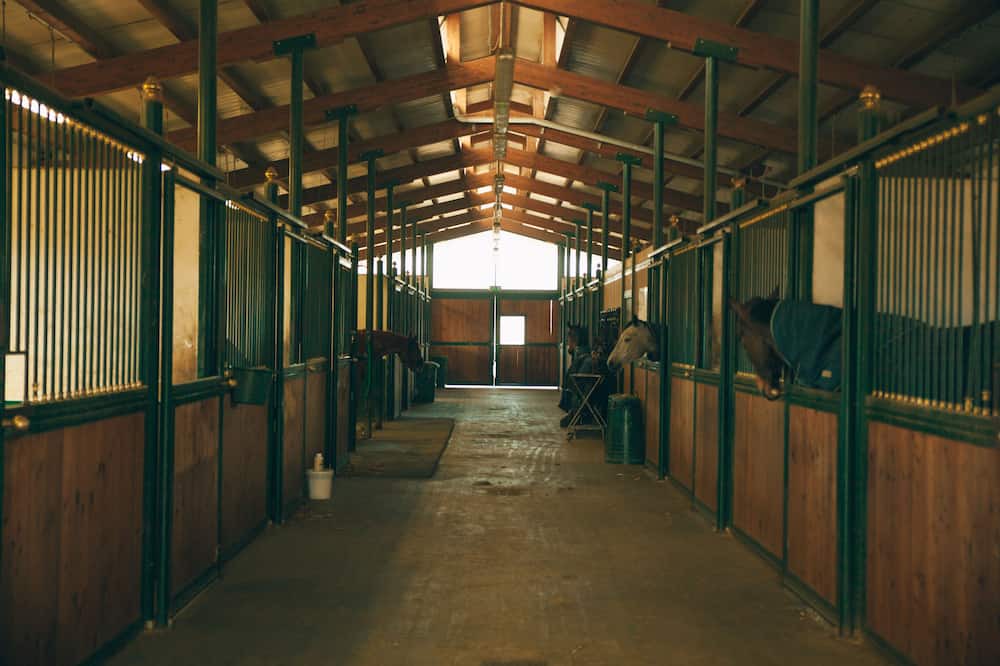 Photo of Others in Cellarengo