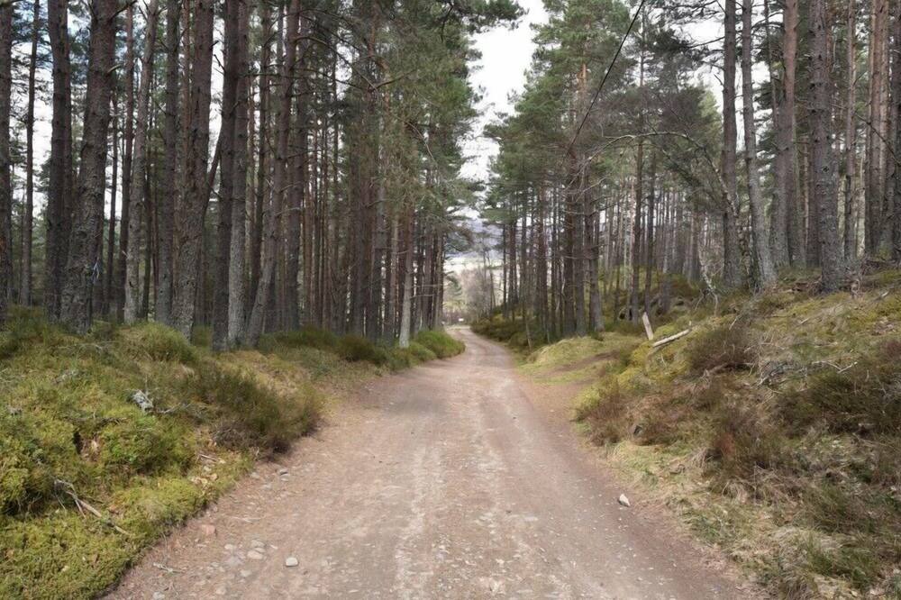 Photo of Outdoor in Alvie