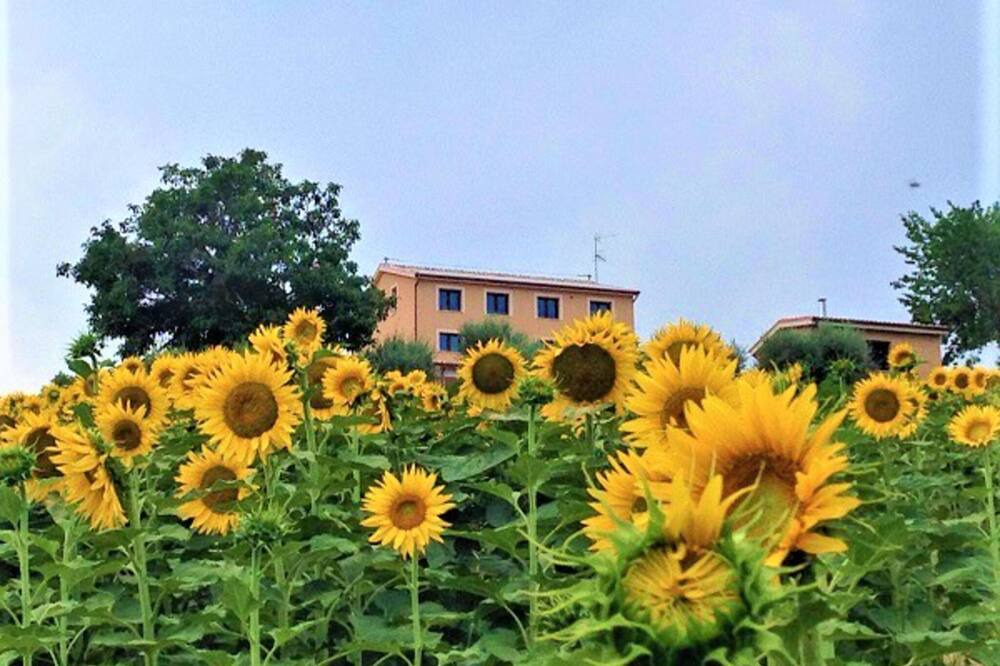 Photo of Outdoor in Carassai
