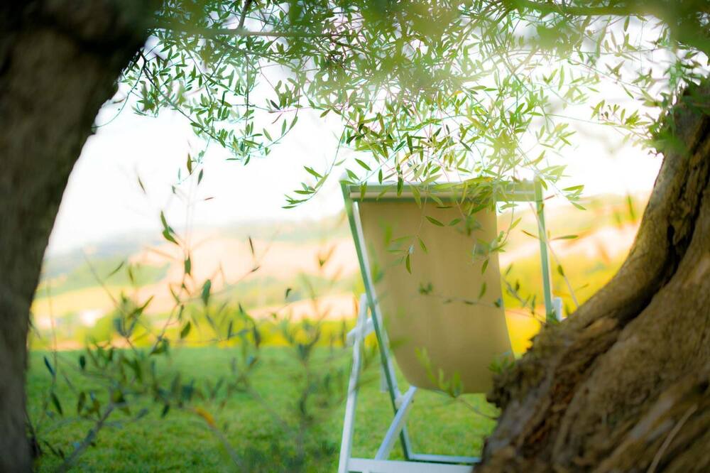 Photo of Outdoor in Carassai