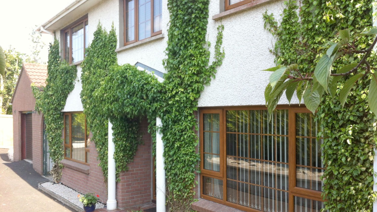 Photo of Outdoor in Londonderry