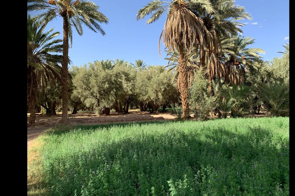 Photo of Outdoor in Ksar el Borj