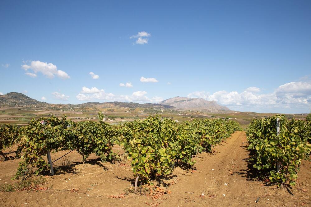 Photo of Outdoor in Calatafimi
