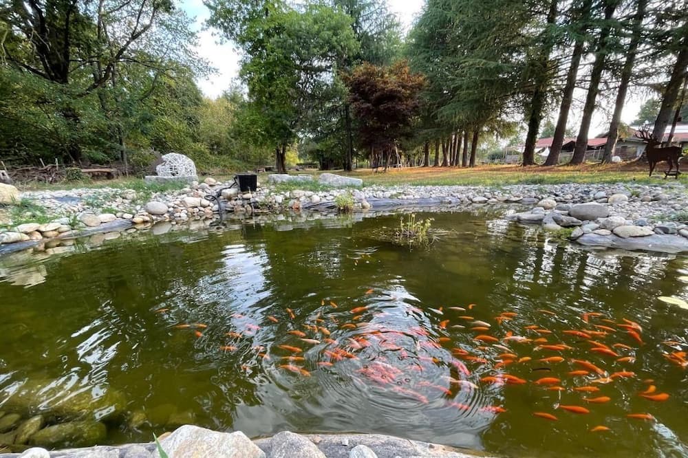 Photo of Outdoor in Agrate