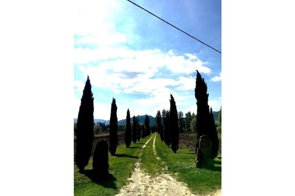Photo of Others in Nerbisci