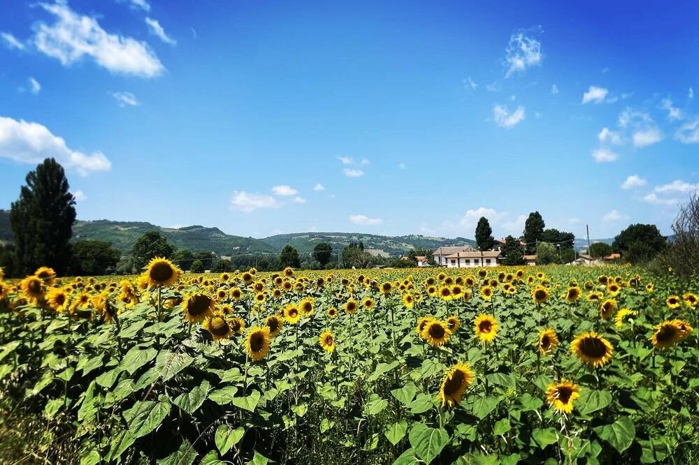 Photo of Outdoor in Nerbisci