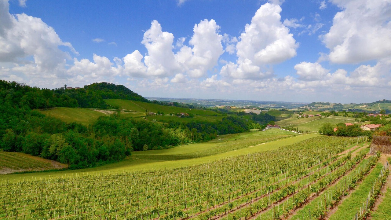 Photo of Outdoor in Bossolasco
