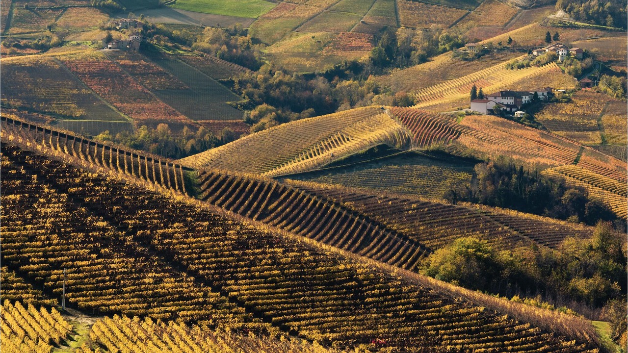 Photo of Outdoor in Bossolasco