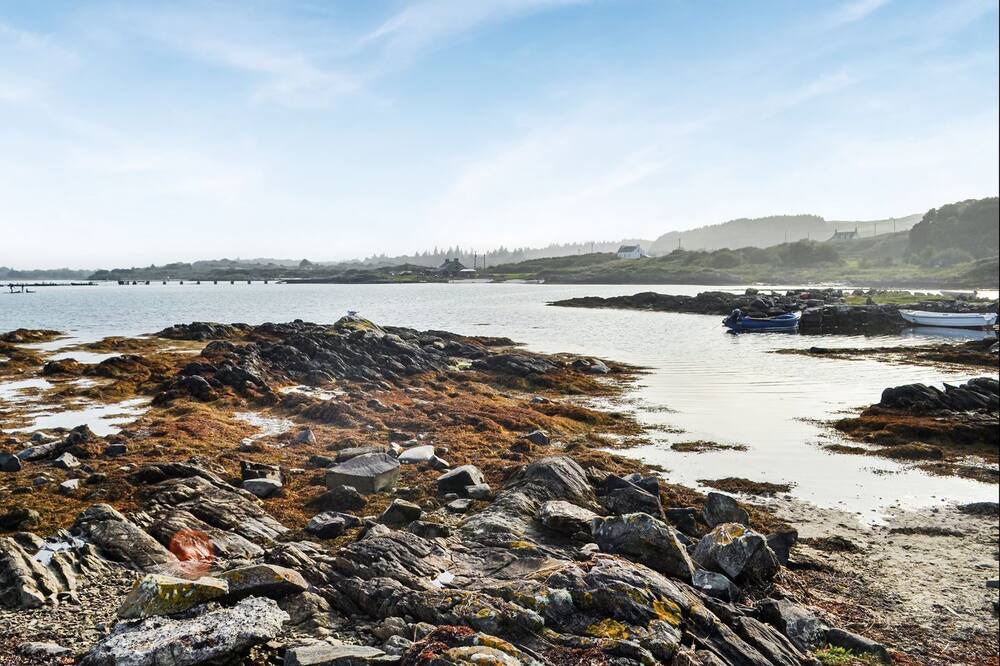 Photo of Others in Gigha