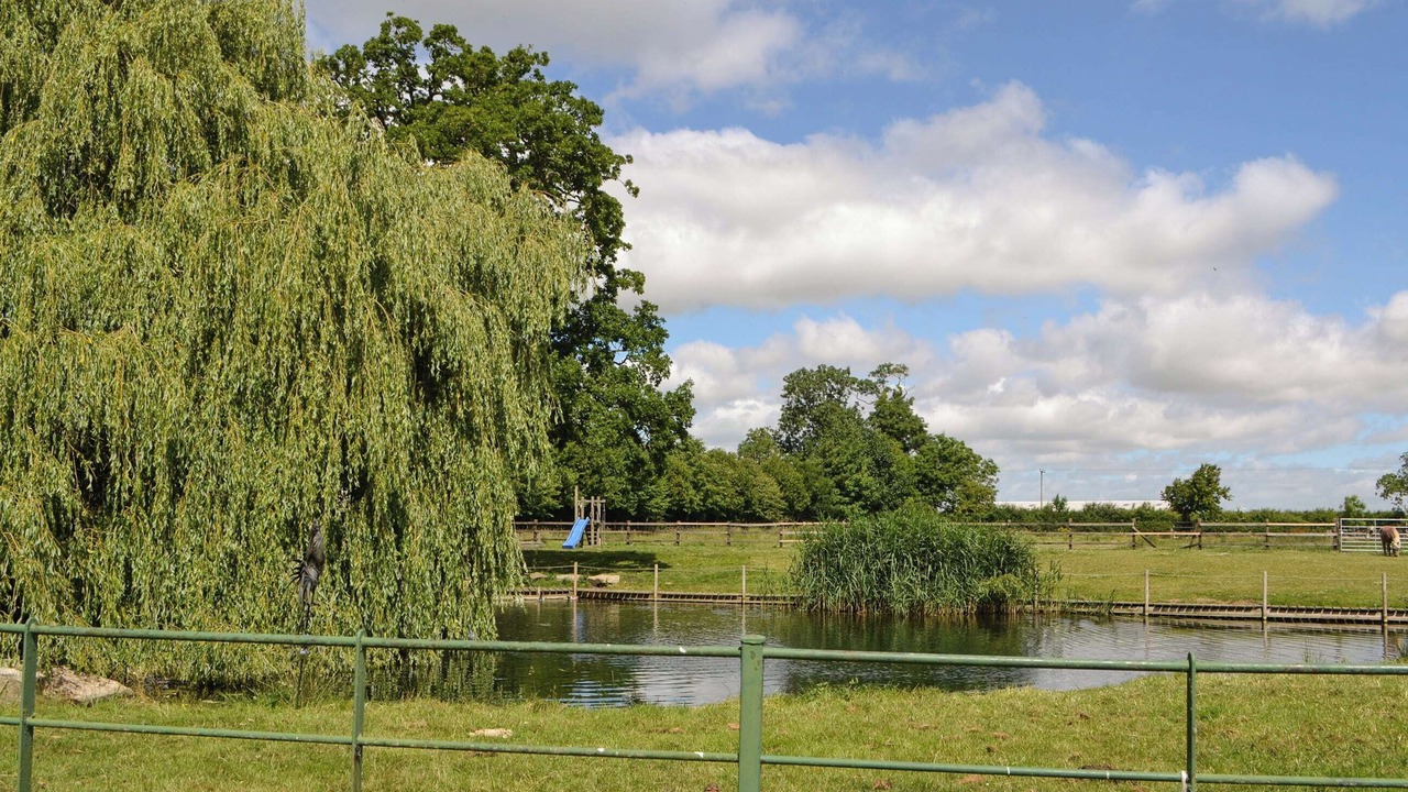 Photo of Others in Driffield