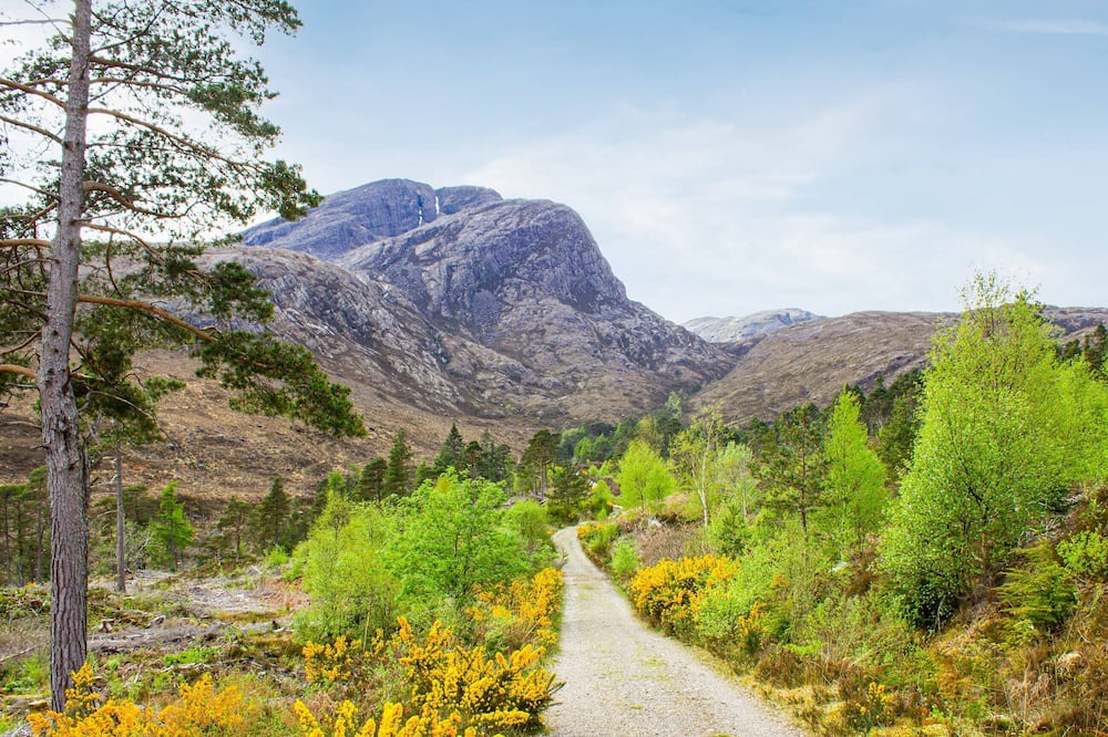Photo of Others in Strathcarron