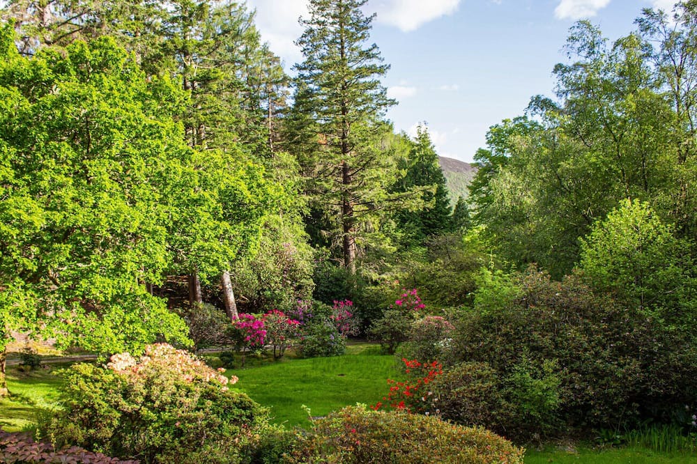 Photo of Outdoor in Strathcarron