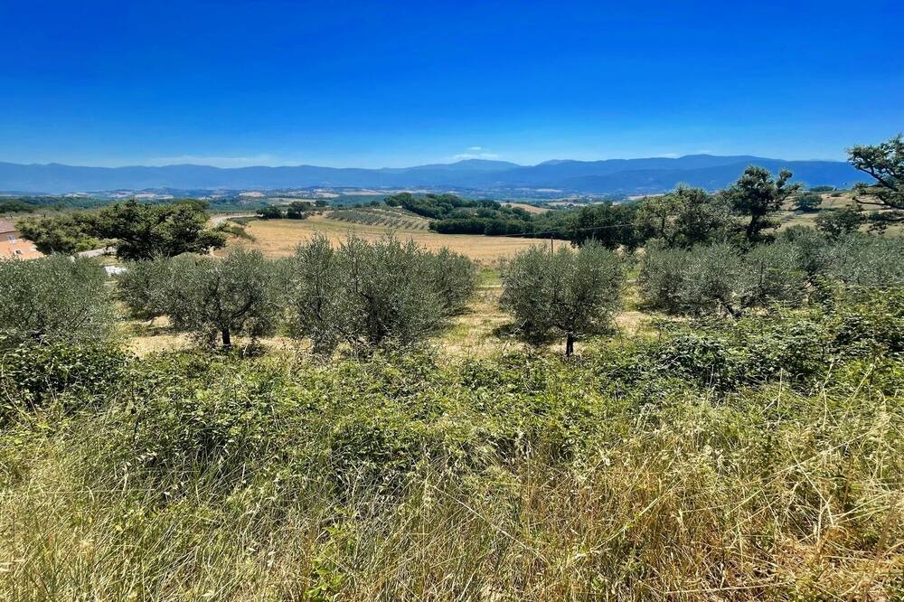 Photo of Outdoor in Baiano