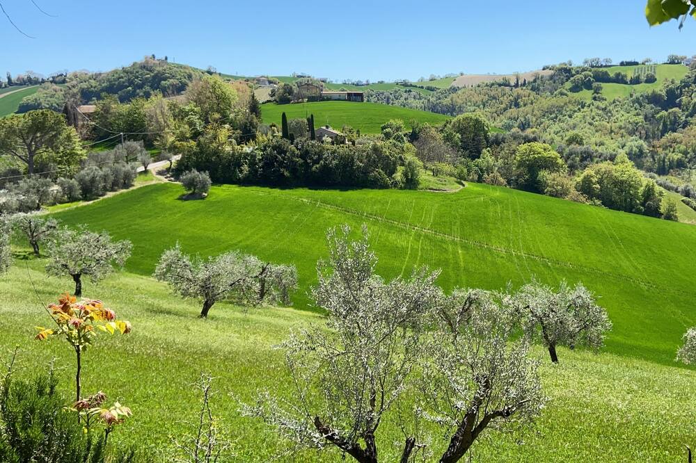 Photo of Outdoor in Petritoli