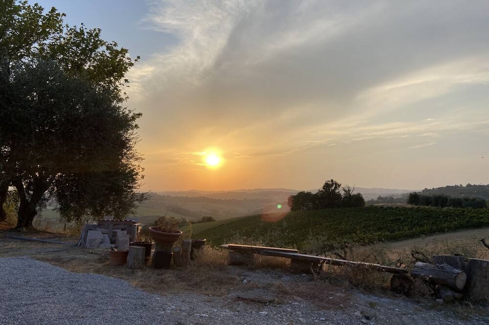 Photo of Outdoor in Petritoli