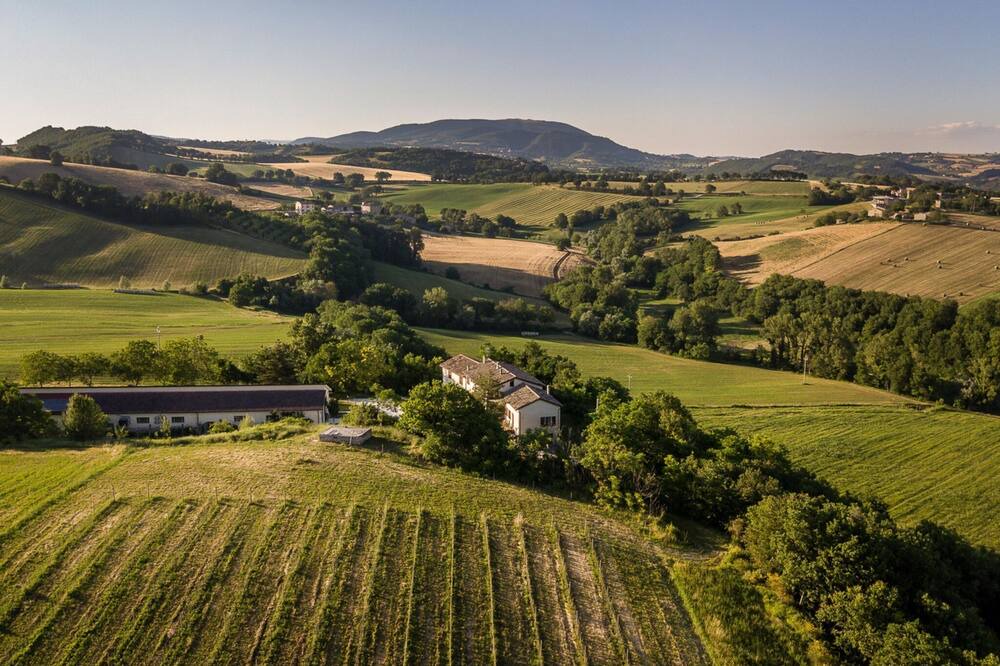 Photo of Others in Sassoferrato