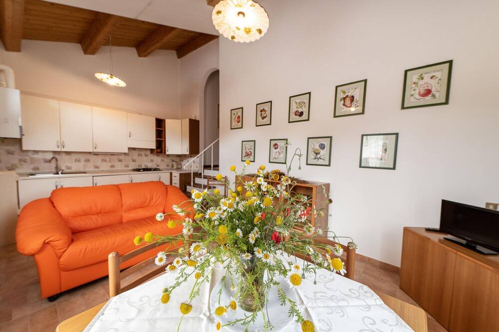 Photo of Livingroom in Sassoferrato