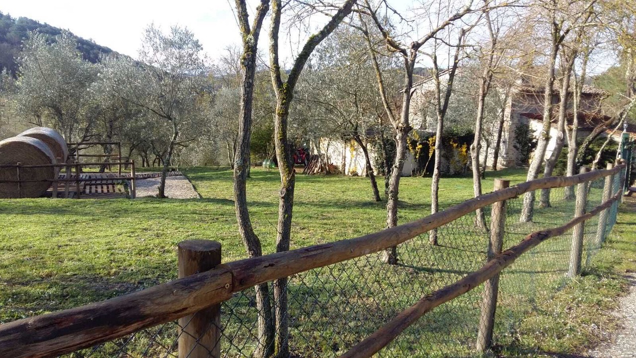 Photo of Others in L'ugolino