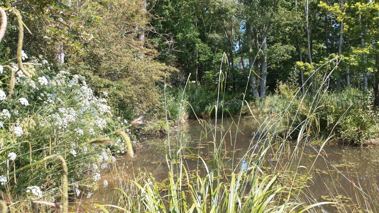 Photo of Others in Hadlow Down