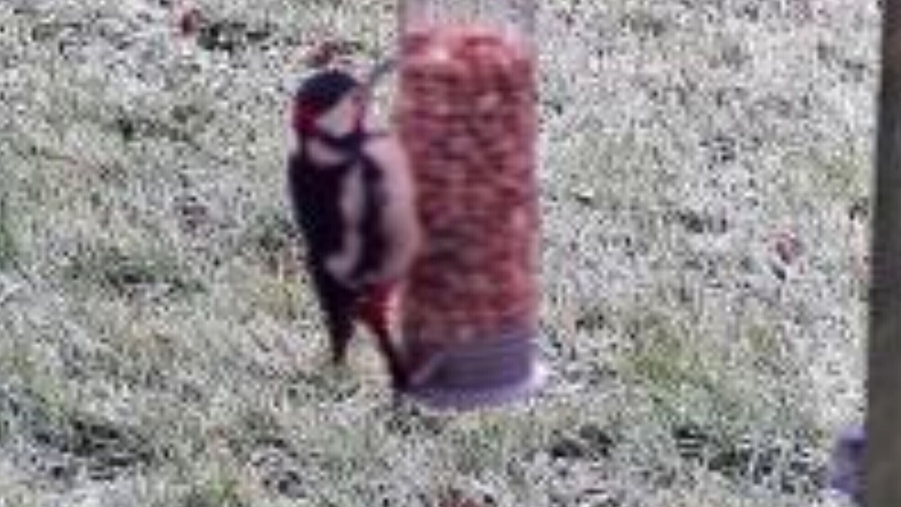 Photo of Others in Hadlow Down