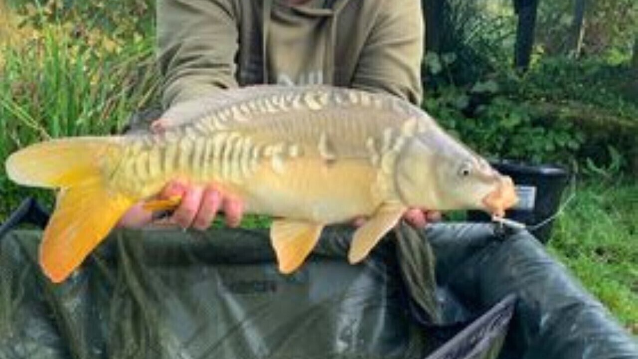 Photo of Outdoor in Hadlow Down