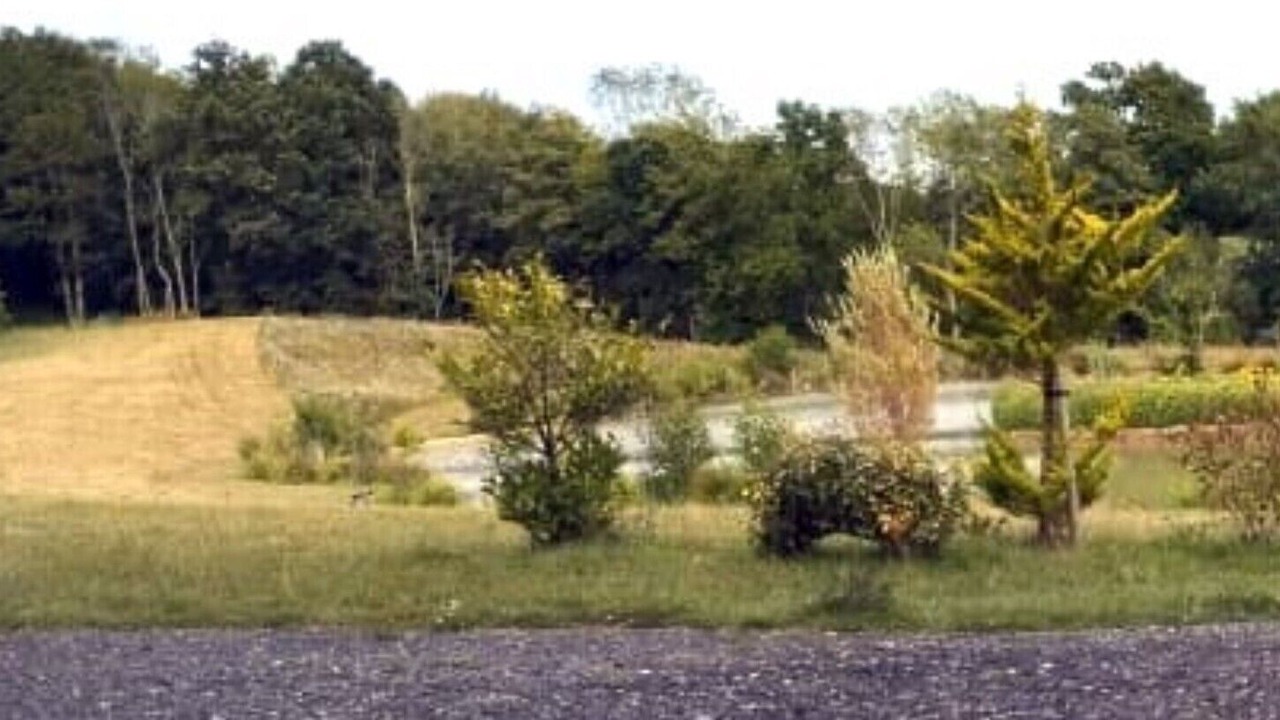 Photo of Outdoor in Hadlow Down