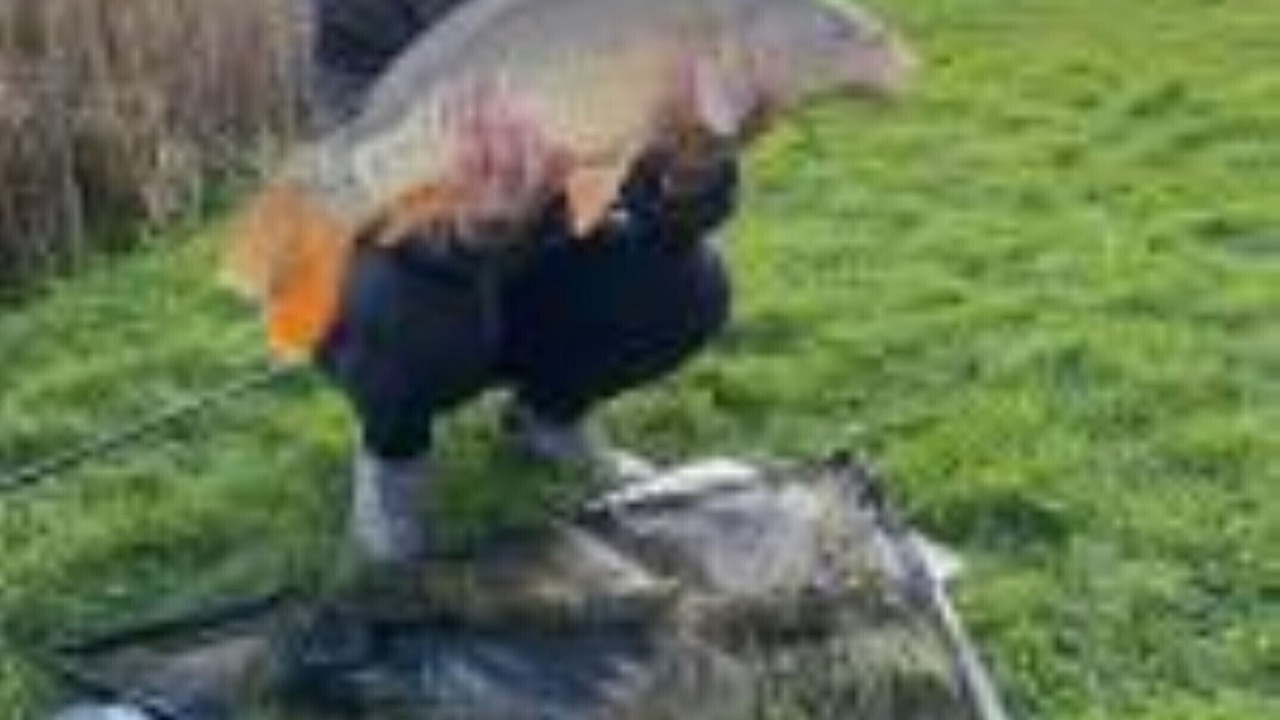 Photo of Others in Hadlow Down