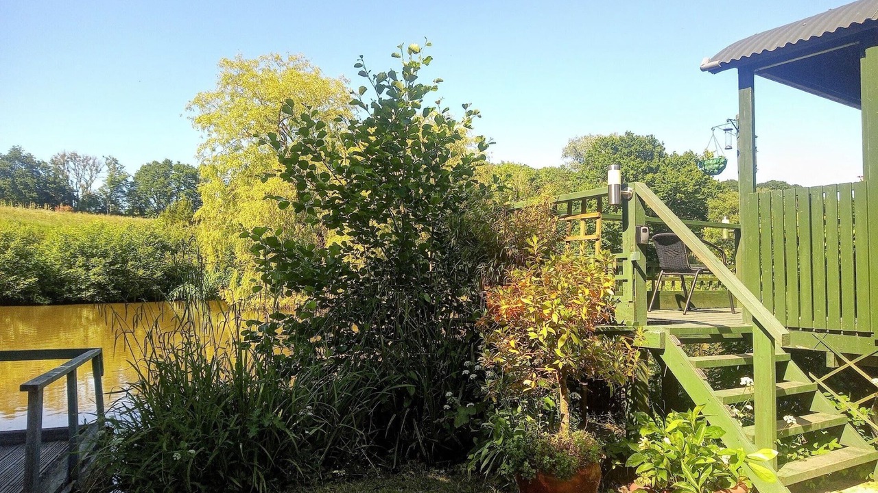 Photo of Outdoor in Hadlow Down