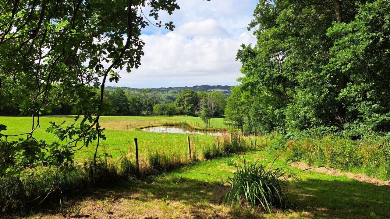 Photo of Outdoor in Hadlow Down