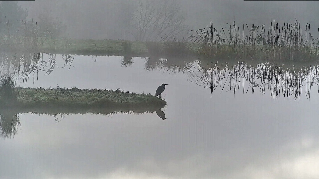 Photo of Outdoor in Hadlow Down