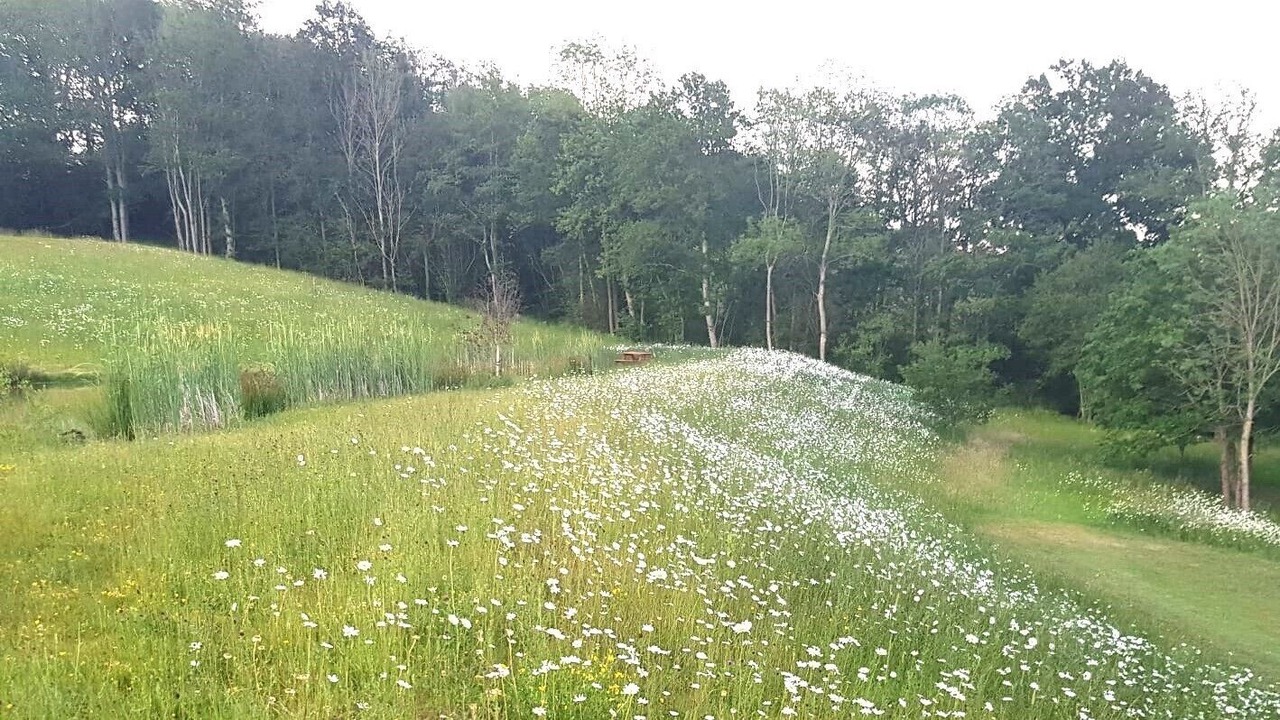 Photo of Outdoor in Hadlow Down