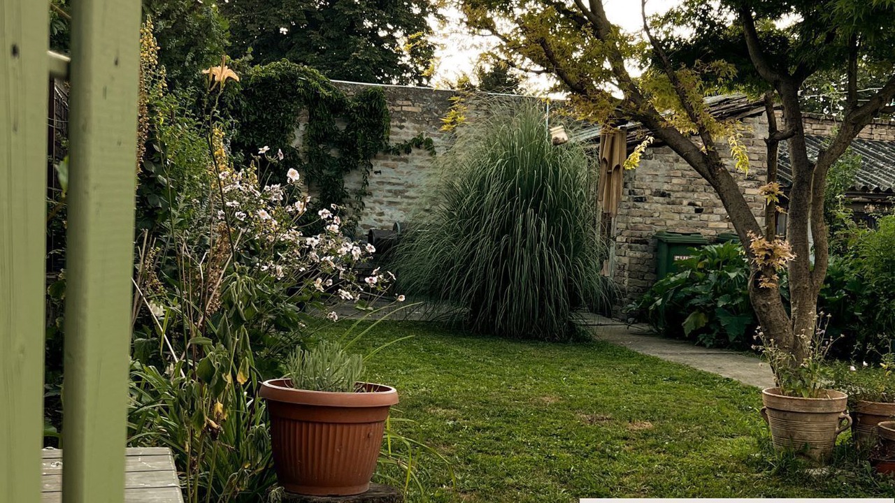 Photo of Outdoor in Novi Sad