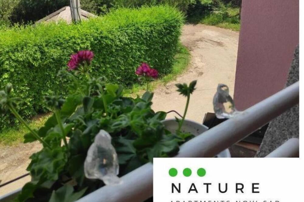 Photo of Outdoor in Petrovaradin